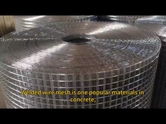Electric Galvanized  Roll type Welded Wire Mesh