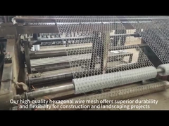 Galvanized stainless steel gabion wire mesh for protection