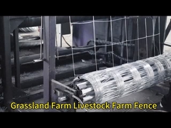 Keçi için Galvanize Çimenlik Tavuk Ağı