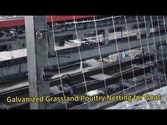 Keçi için Galvanize Çimenlik Tavuk Ağı