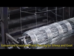 Keçi için Galvanize Çimenlik Tavuk Ağı