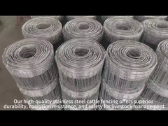 Galvanized Stainless Steel Cattle Fence For Pasture Fence