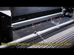 Welded Wire Mesh 
