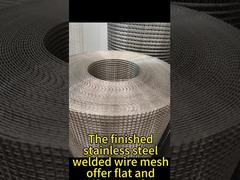 New product min hole 5mm Stainless Steel Welded Mesh