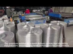 Galvanized Steel Welded Wire Mesh for Construction Reinforcement and Fencing