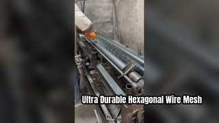 Durable Hexagonal Wire Mesh for Construction and Farming